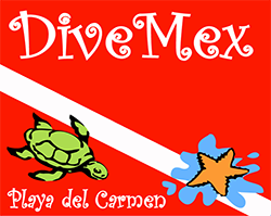 dive mex logo HD