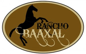 logo_baaxal_elegido