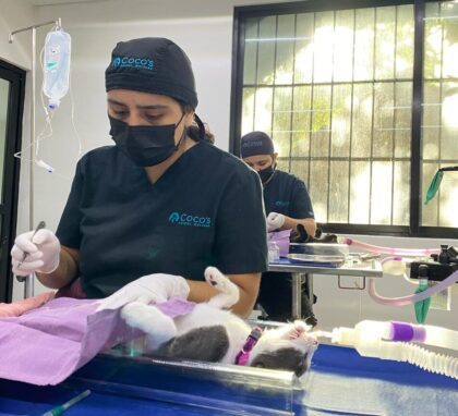 Spay & Neuter Clinic