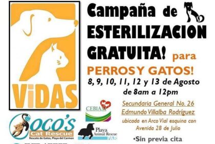 VIDAS August 2014