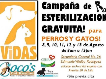 VIDAS August 2014