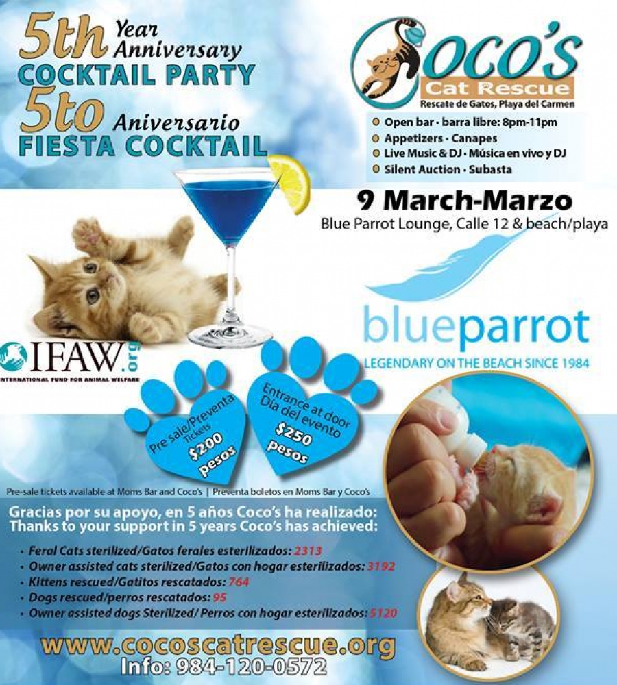 cocos animal welfare, playa del carmen, help animals