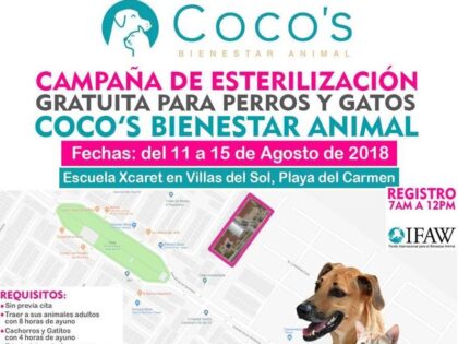 1st Coco’s Campaign 2018