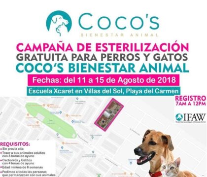 1st Coco’s Campaign 2018