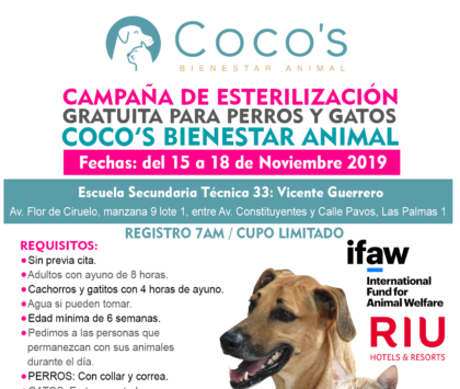 2nd Coco’s Campaign 2019