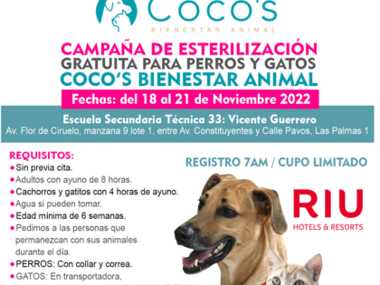 3rd Coco’s Campaign 2022