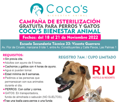 3rd Coco’s Campaign 2022