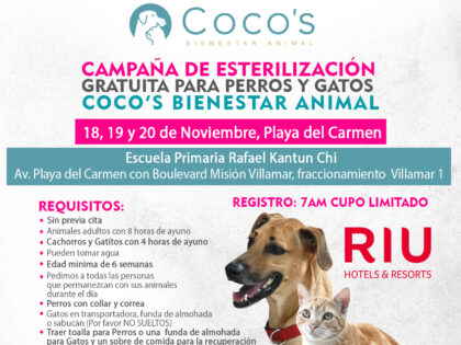 4th Coco’s Campaign 2023