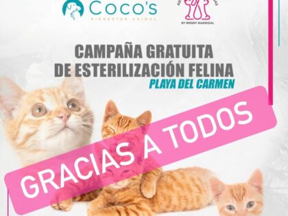 Campaña Dia de Los Animales Octubre 2023 en Coco’s