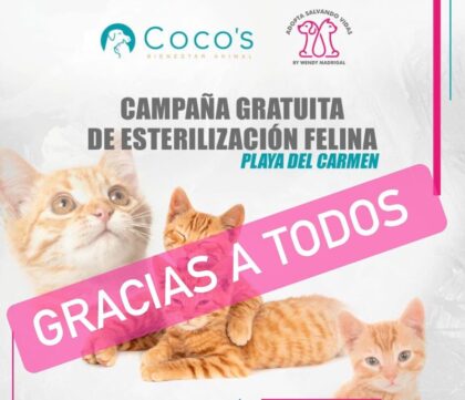Campaña Dia de Los Animales Octubre 2023 en Coco’s