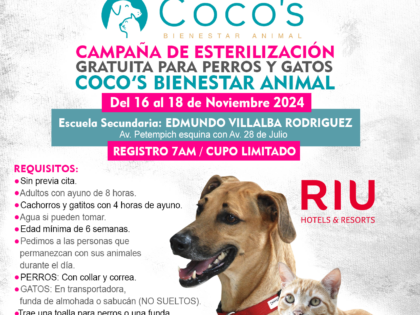 5th Coco’s Campaign 2024