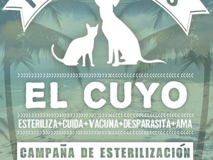 El Cuyo 2017