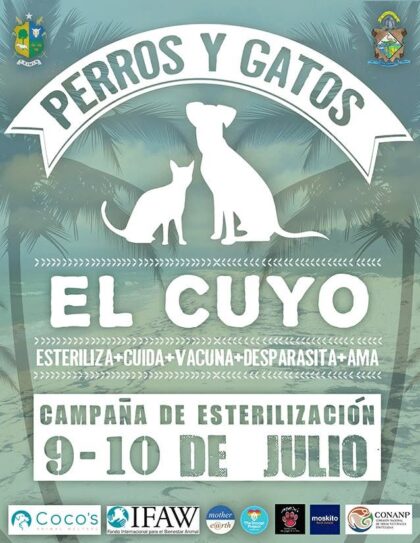 El Cuyo 2017